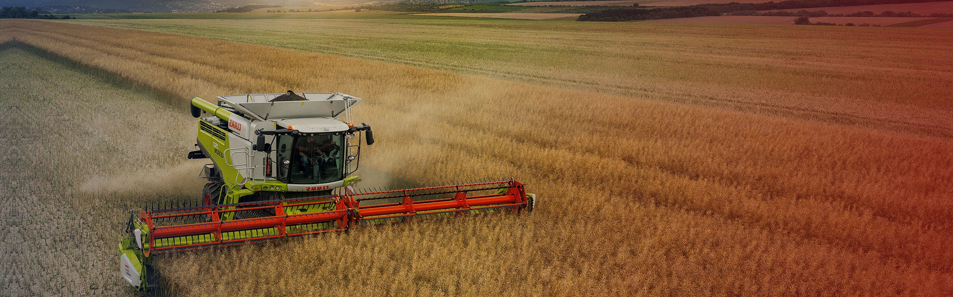 dc17696d19d37c936d7d72cad8374eff